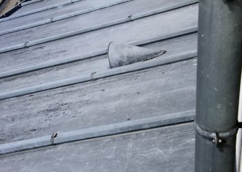 29887 zinc