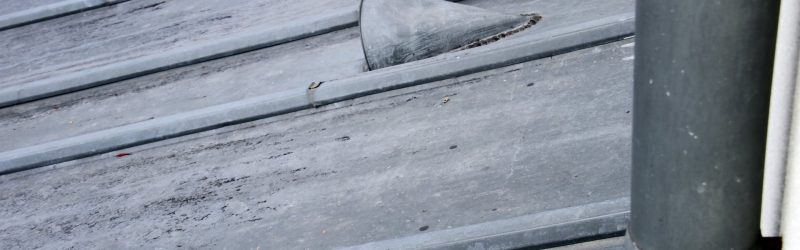 29887 zinc
